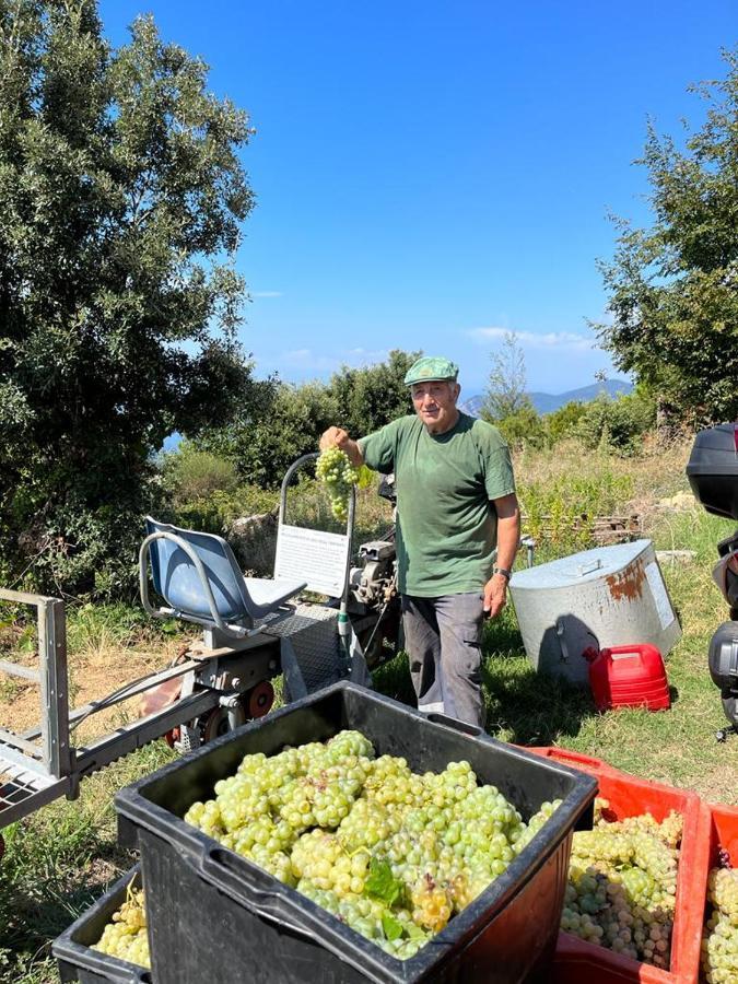 I Tre Grappoli Βίλα Corniglia Εξωτερικό φωτογραφία
