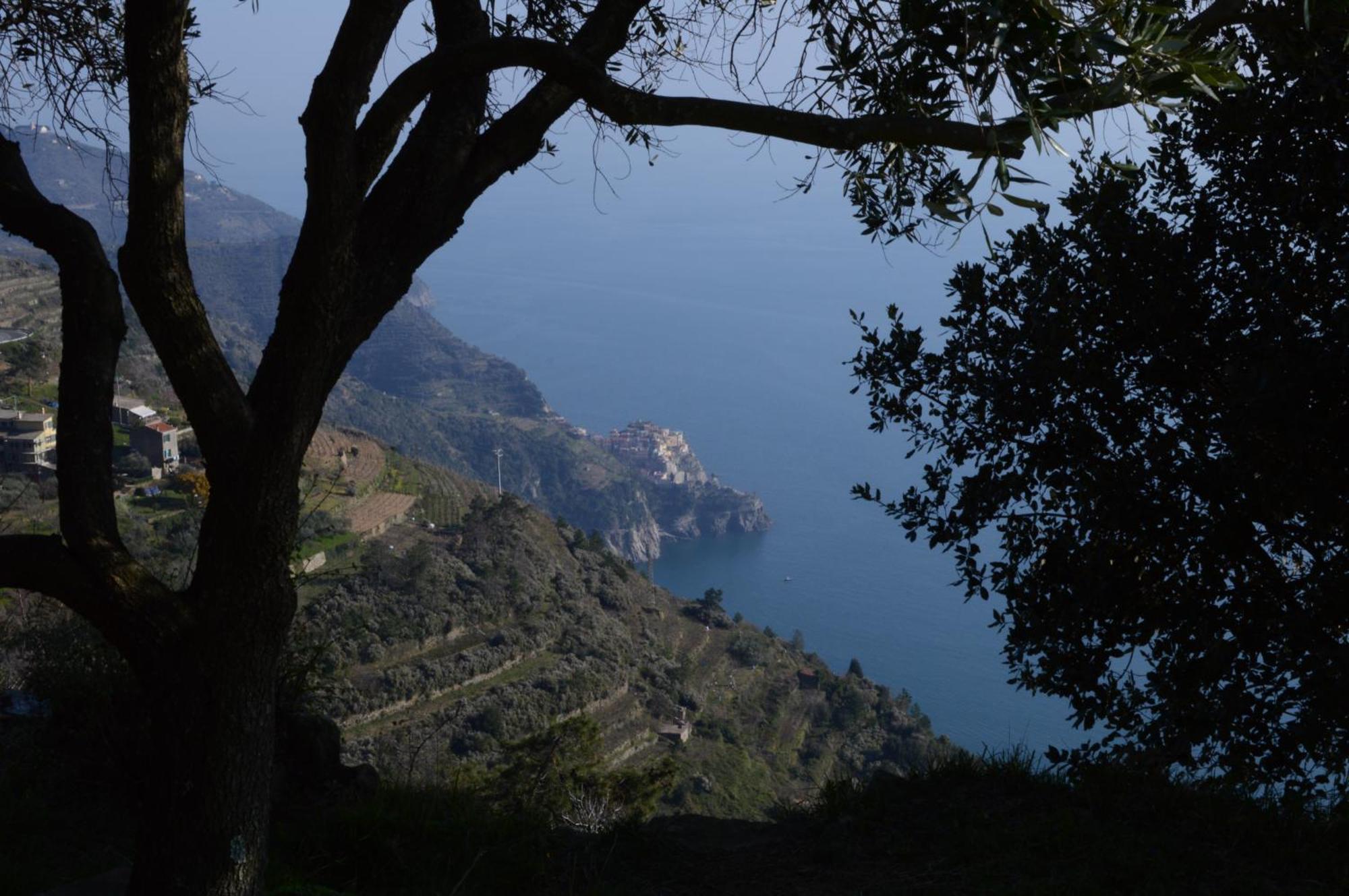 I Tre Grappoli Βίλα Corniglia Εξωτερικό φωτογραφία
