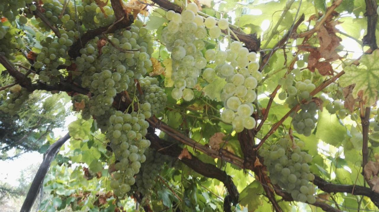 I Tre Grappoli Βίλα Corniglia Εξωτερικό φωτογραφία