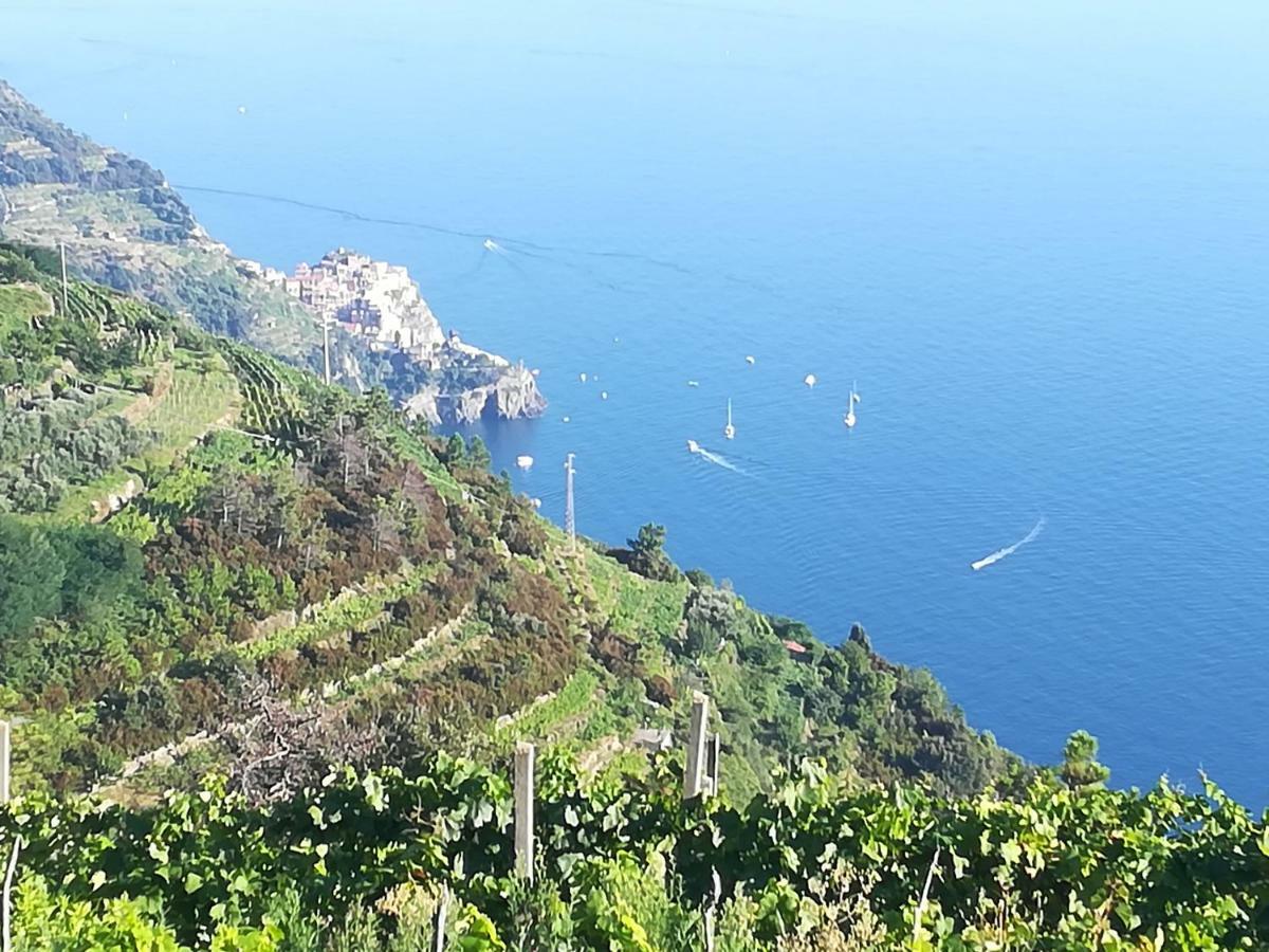 I Tre Grappoli Βίλα Corniglia Εξωτερικό φωτογραφία